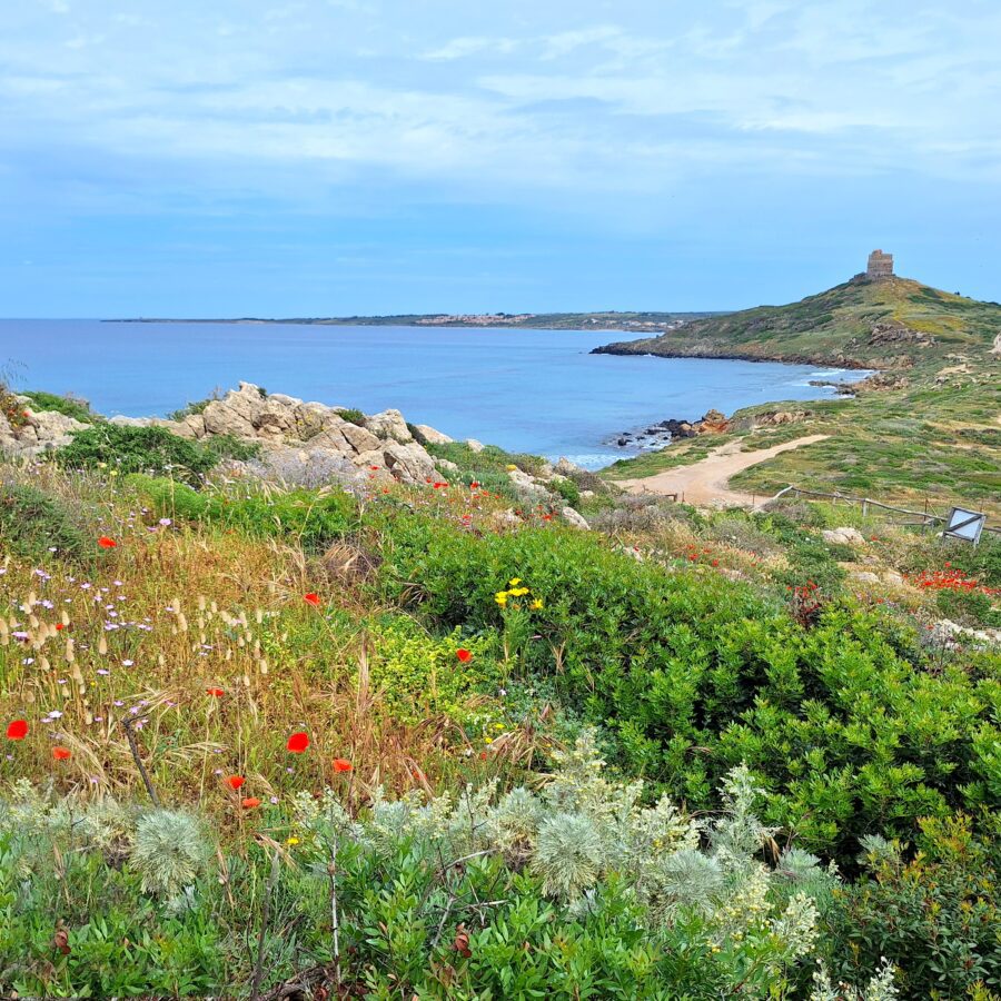 Sardinia Hiking through History Tour